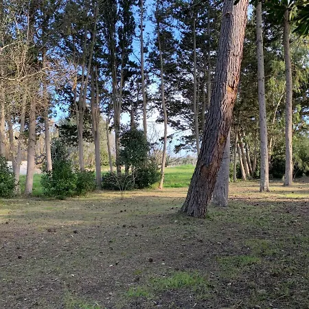 Eden Torre Dell Orso Lägenhet